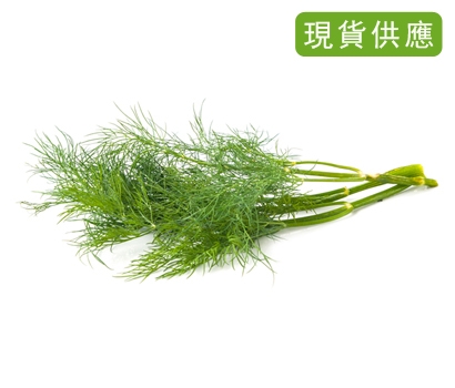 有機新鮮茴香 10 公克