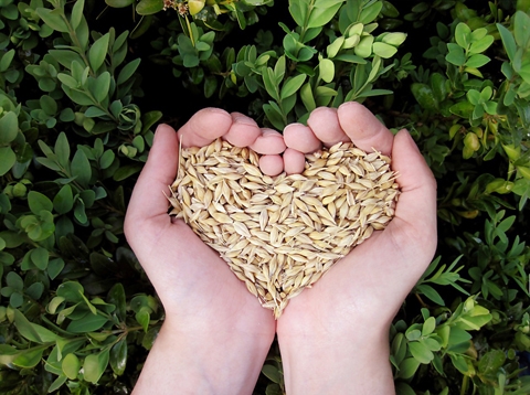 支持在地小農，永續共好