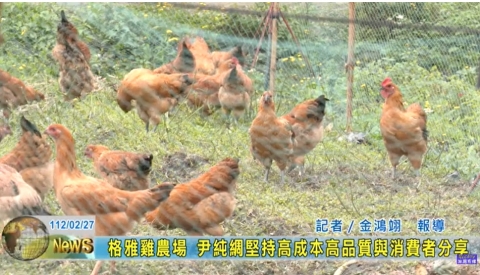 高品質天然有機格雅雞農場，尹純綢董事長帶大家一探究竟