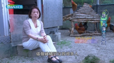 壹Walker逗陣行專題採訪  許一片淨土之旅